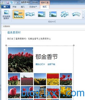 OneDrive 相册中照片的缩略图预览