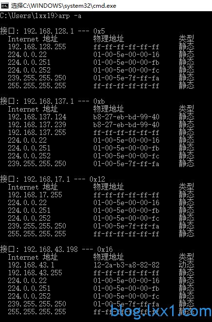 arp -a 查看网络接口信息