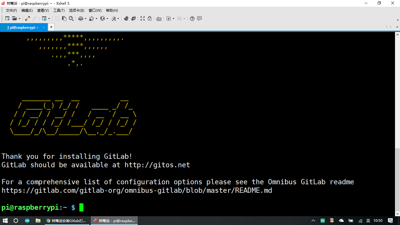 树莓派上成功安装Gitlab